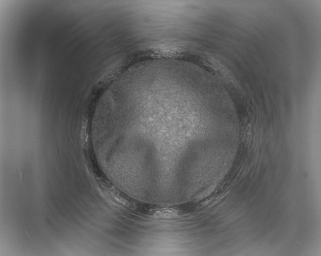 X0000073830599200608311910