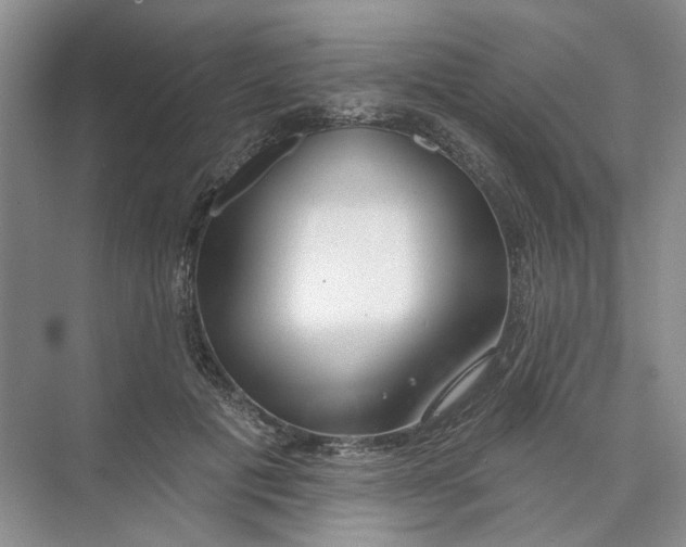 X0000073830601200608311910