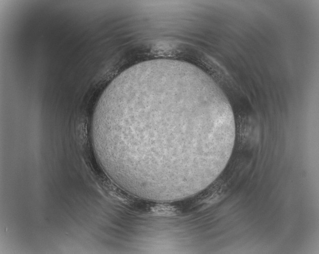 X0000073830603200608311910