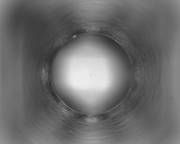 X0000073830604200608311910