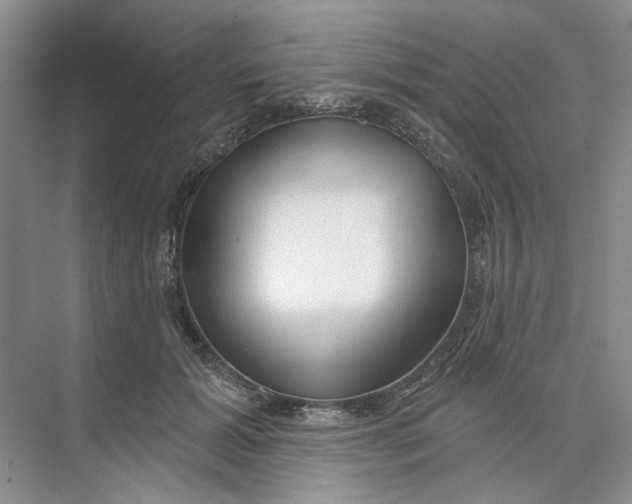 X0000073830605200608311910