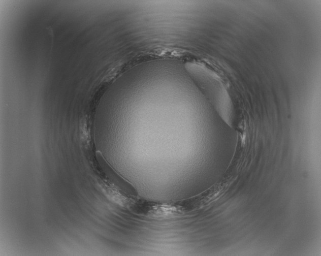 X0000073830607200608311910