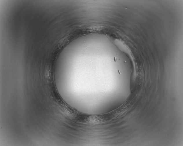 X0000073830608200608311910