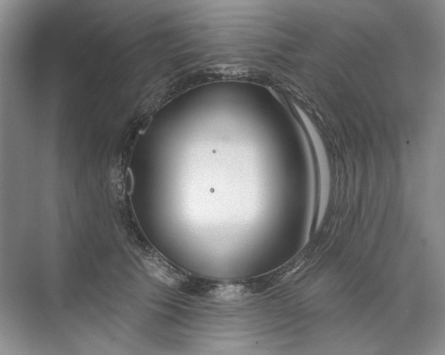 X0000073830609200608311910