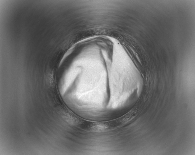 X0000073830610200608311910