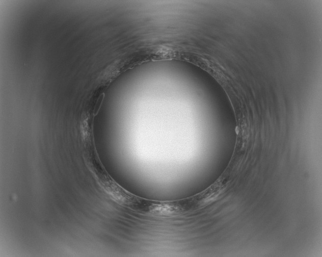 X0000073830611200608311910