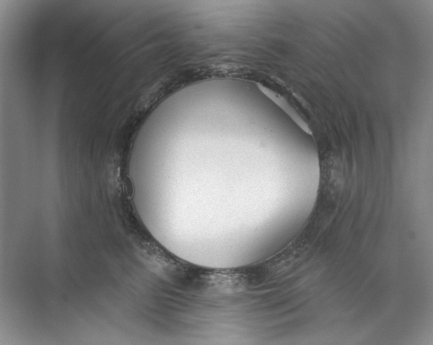 X0000073830615200608311910