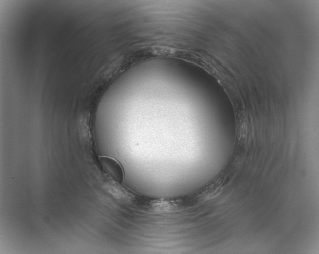 X0000073830616200608311910