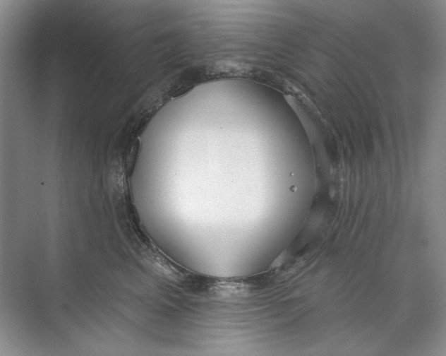 X0000073830617200608311910