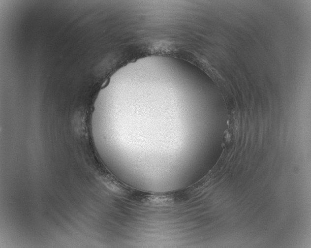 X0000073830619200608311910