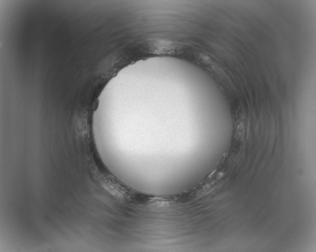 X0000073830620200608311910