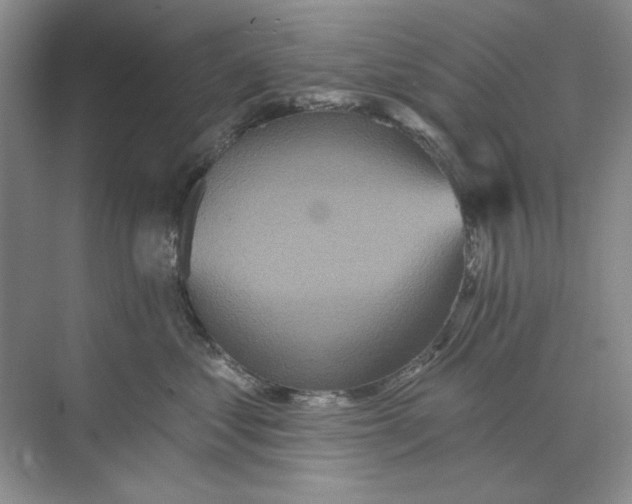 X0000073830621200608311910