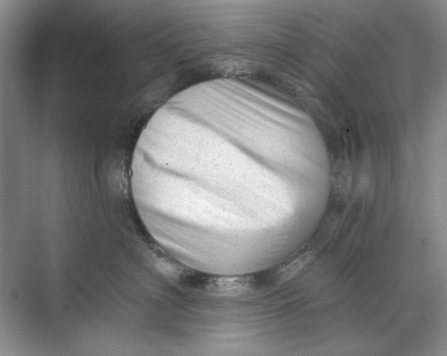 X0000073830622200608311910