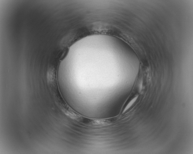 X0000073830623200608311910