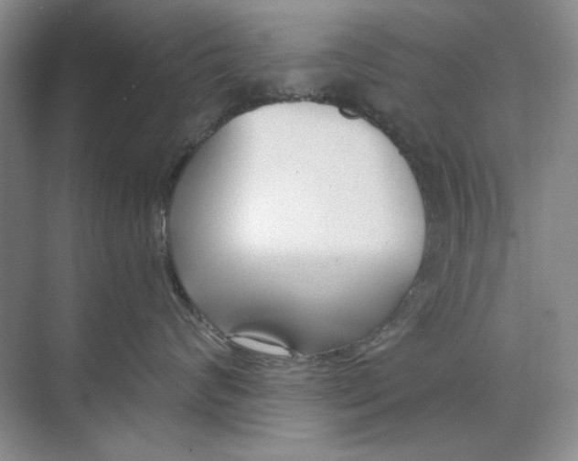 X0000073830624200608311910