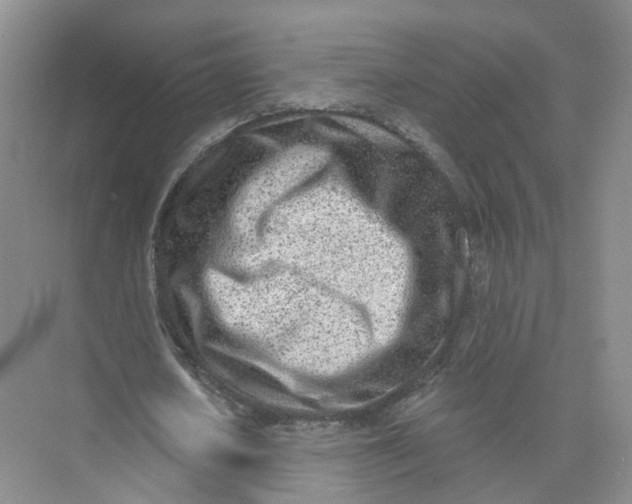 X0000073830626200608311909