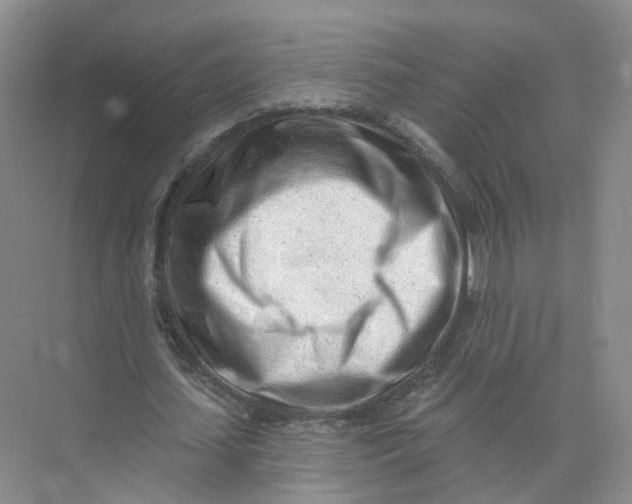 X0000073830627200608311909