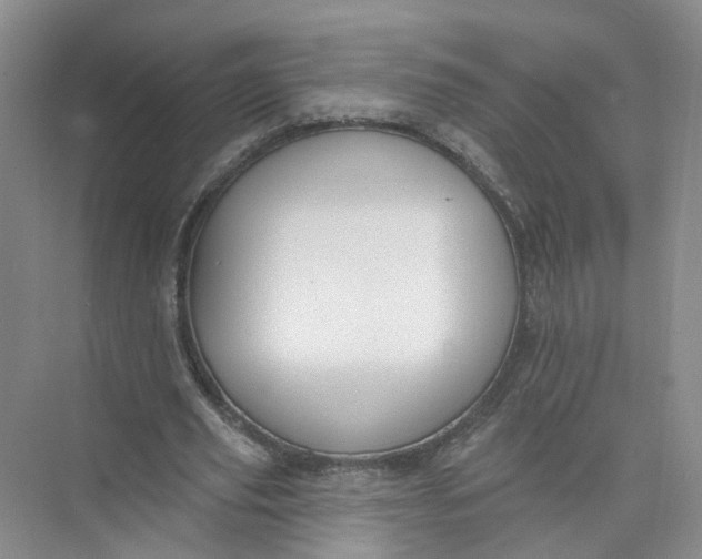 X0000073830629200608311909