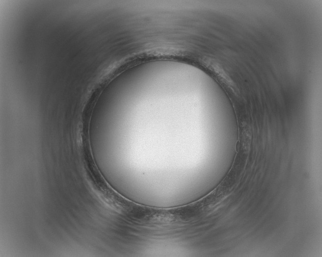 X0000073830631200608311909