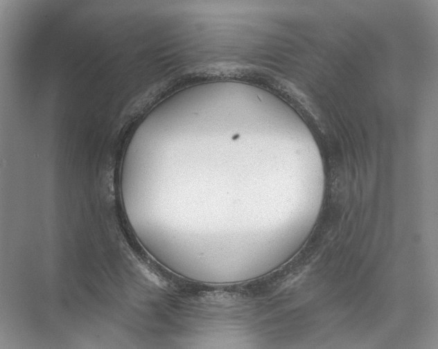 X0000073830633200608311909