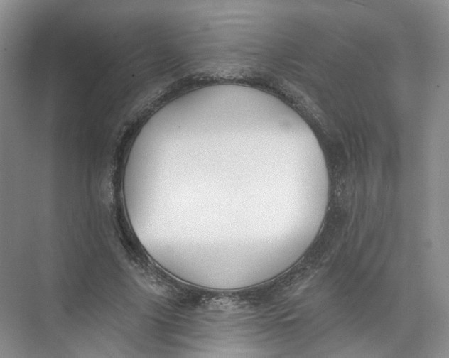 X0000073830635200608311909