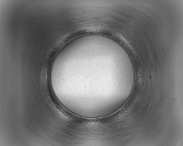 X0000073830637200608311909