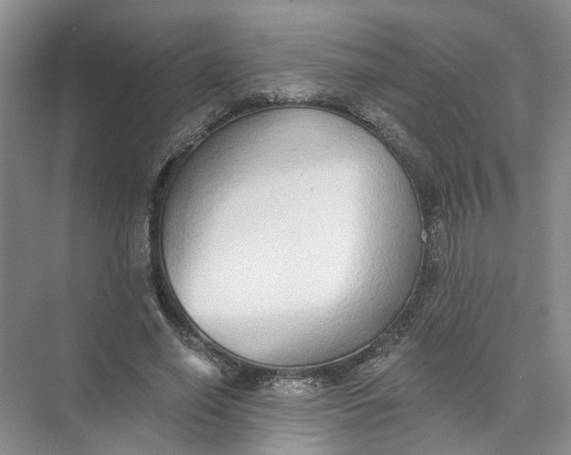 X0000073830638200608311909