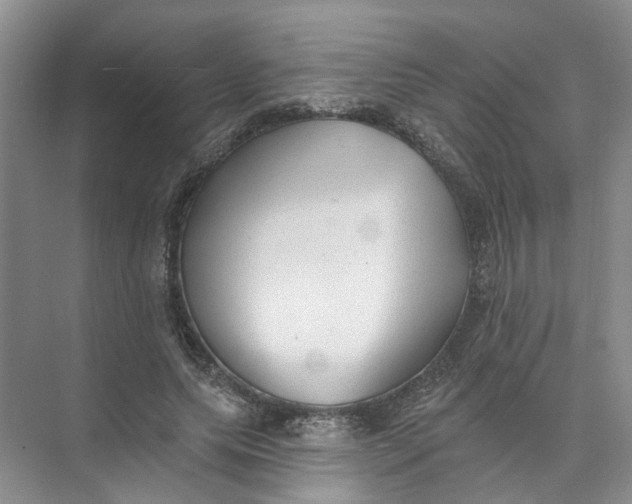 X0000073830639200608311909