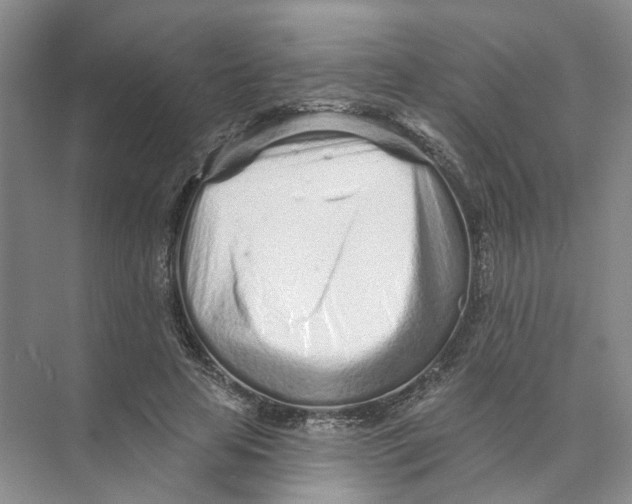 X0000073830641200608311909