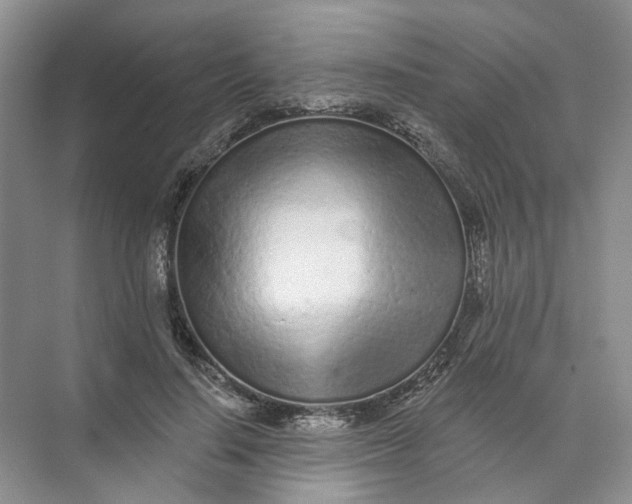 X0000073830644200608311910