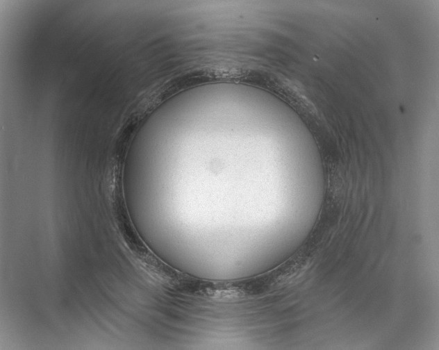 X0000073830645200608311910