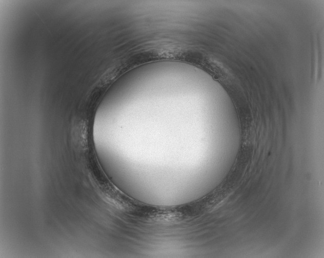 X0000073830646200608311910