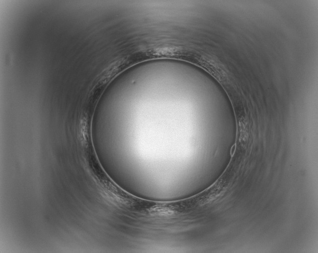 X0000073830648200608311910