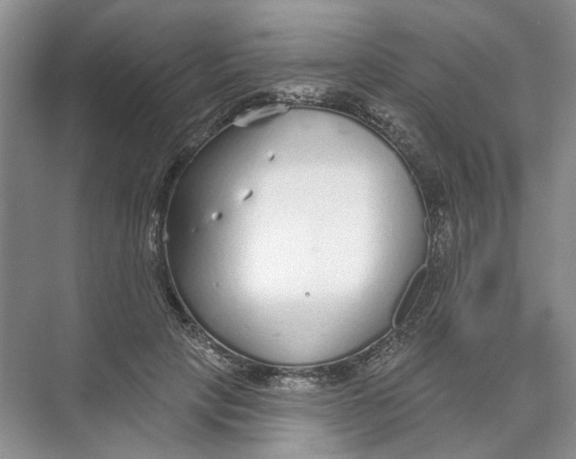 X0000073830649200608311910