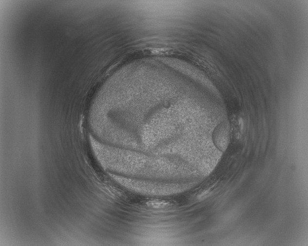 X0000073830650200608311910