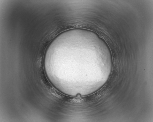 X0000073830652200608311910