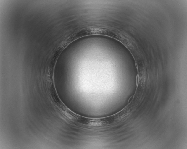 X0000073830653200608311910