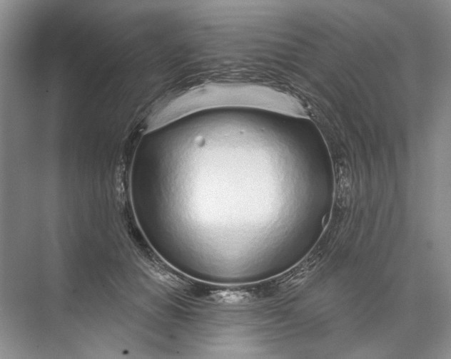 X0000073830654200608311910