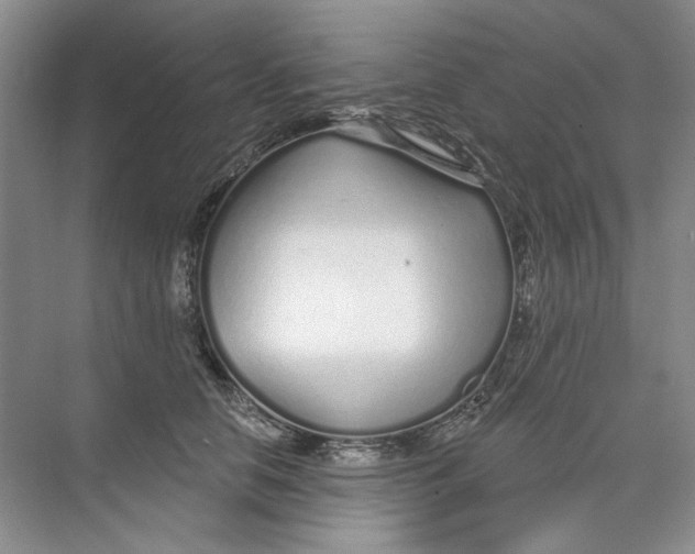 X0000073830658200608311910