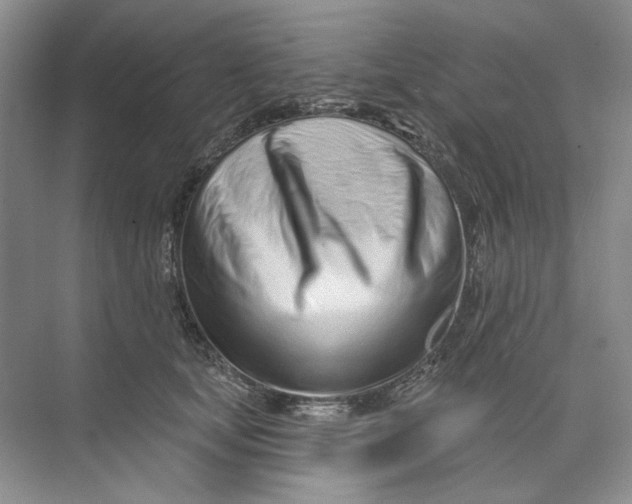 X0000073830659200608311910