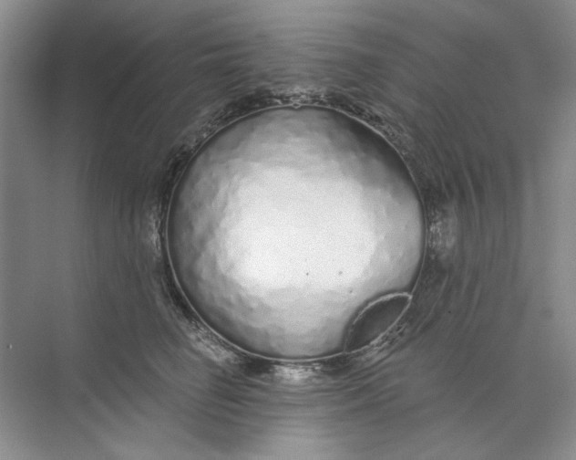 X0000073830662200608311910