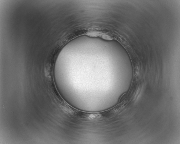 X0000073830663200608311910