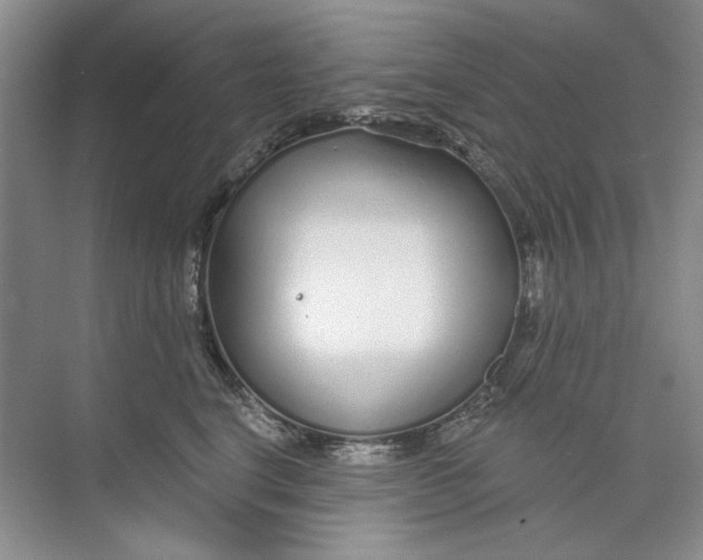 X0000073830664200608311910