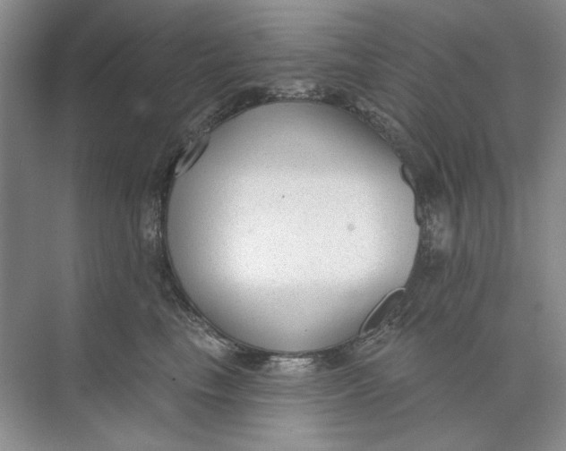 X0000073830665200608311910