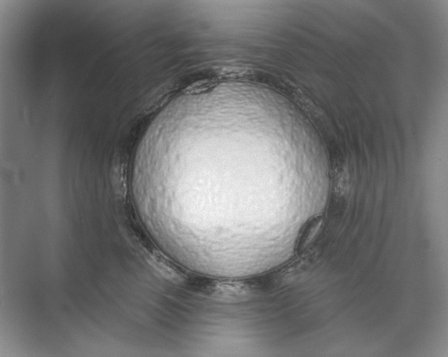 X0000073830666200608311910