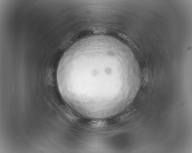 X0000073830667200608311910