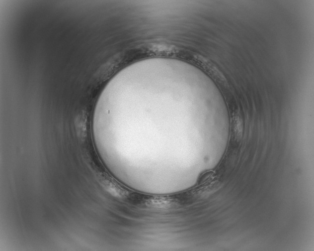 X0000073830668200608311910