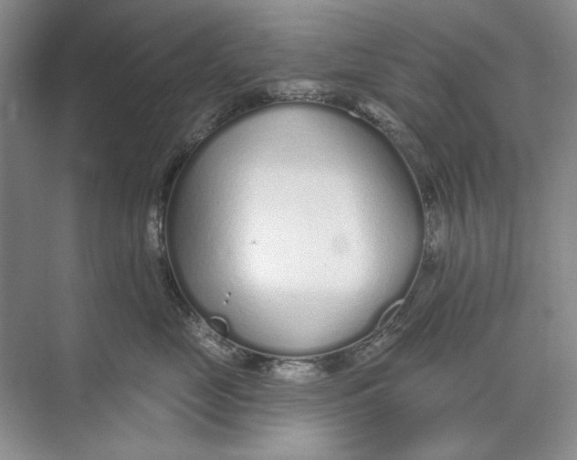 X0000073830669200608311910