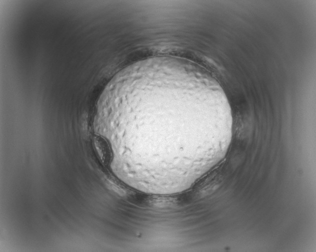 X0000073830670200608311910