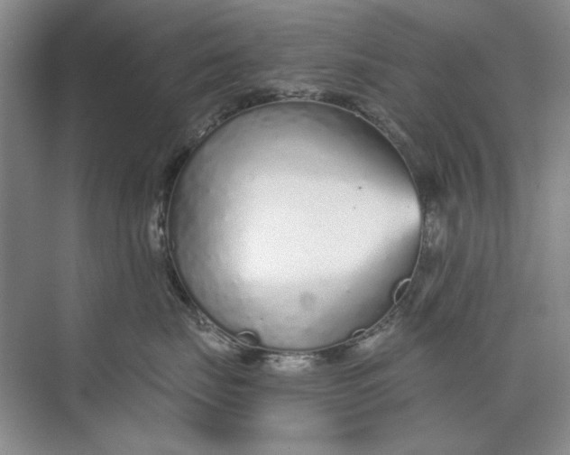 X0000073830671200608311910